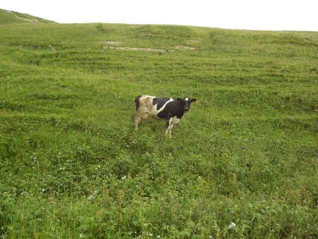 Click to see next picture
