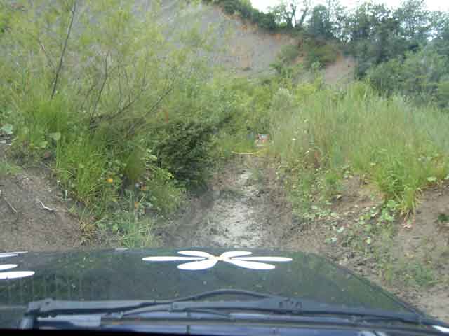 Click to see next picture