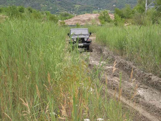 Click to see next picture